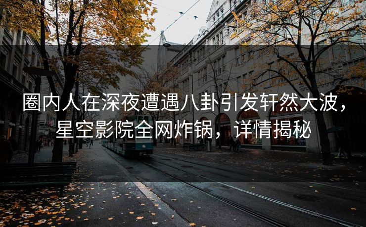 圈内人在深夜遭遇八卦引发轩然大波，星空影院全网炸锅，详情揭秘