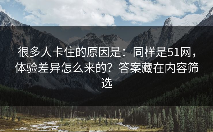很多人卡住的原因是：同样是51网，体验差异怎么来的？答案藏在内容筛选