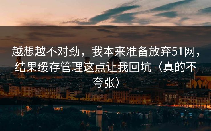 越想越不对劲，我本来准备放弃51网，结果缓存管理这点让我回坑（真的不夸张）