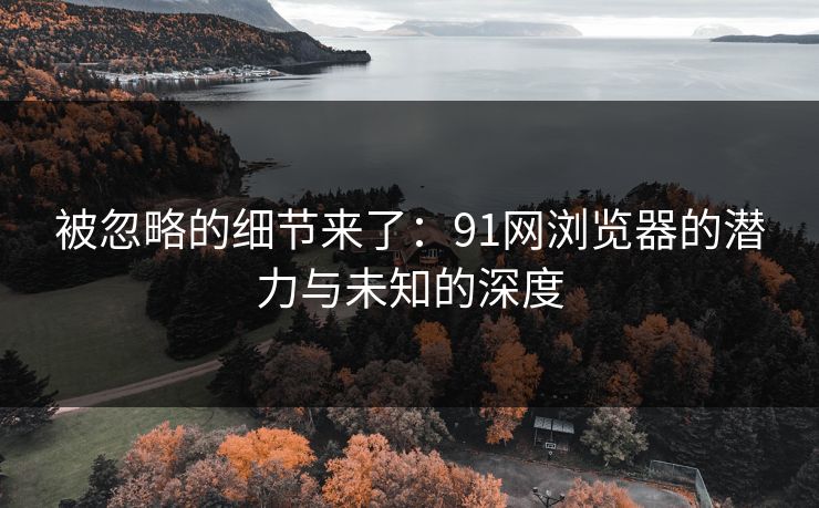 被忽略的细节来了：91网浏览器的潜力与未知的深度